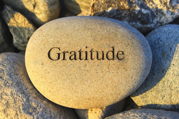 Gratitude, a powerful rest button for when times are tough.