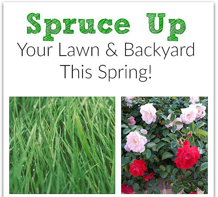 Spruce Up Your Lawn And Backyard This Spring!