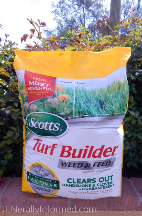 Spruce Up Your Lawn And Backyard This Spring!
