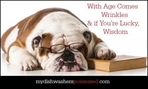 With Age Comes Wrinkles & if You’re Lucky, Wisdom from My Dishwasher's Possessed.