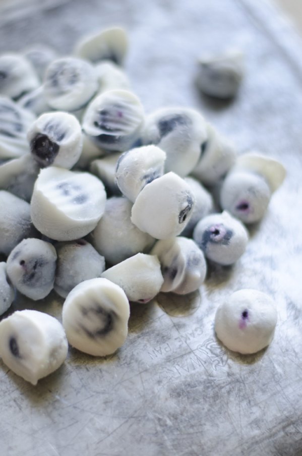 Frozen Blueberry Bites!