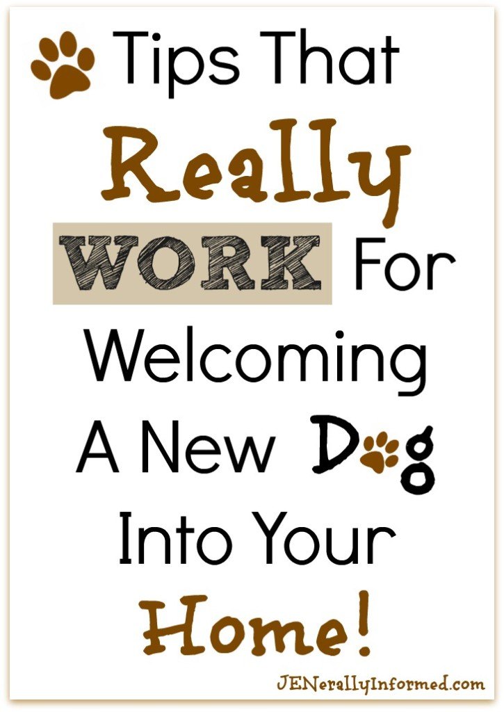 Welcoming a new dog into your home and life? Here are some tips that really work! #FeedDogsPurina #ad @Target