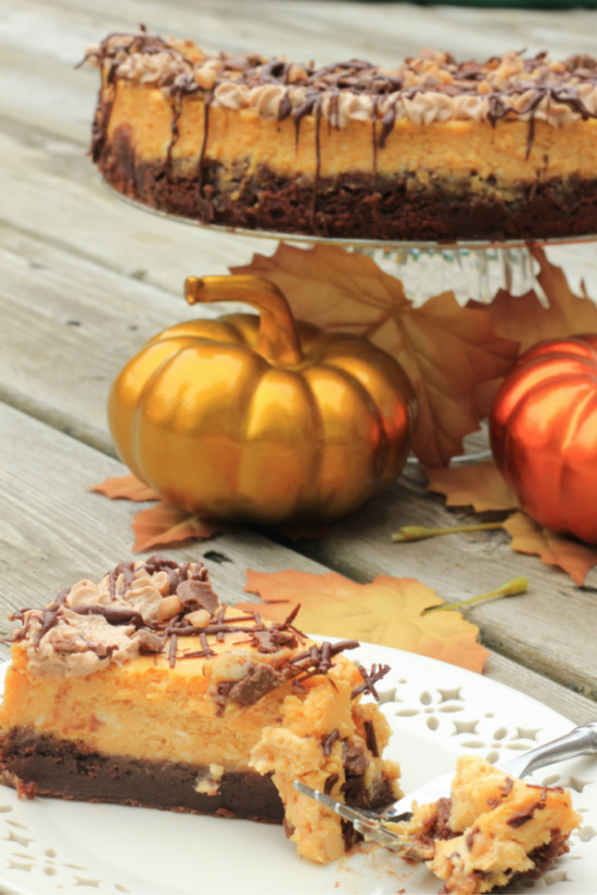 Pumpkin Cheesecake with Brownie Bottom from a Sprinkle of Joy.
