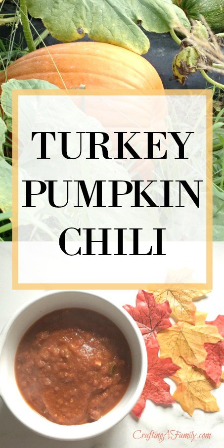 Turkey Pumpkin Chili from Crafting A Family.