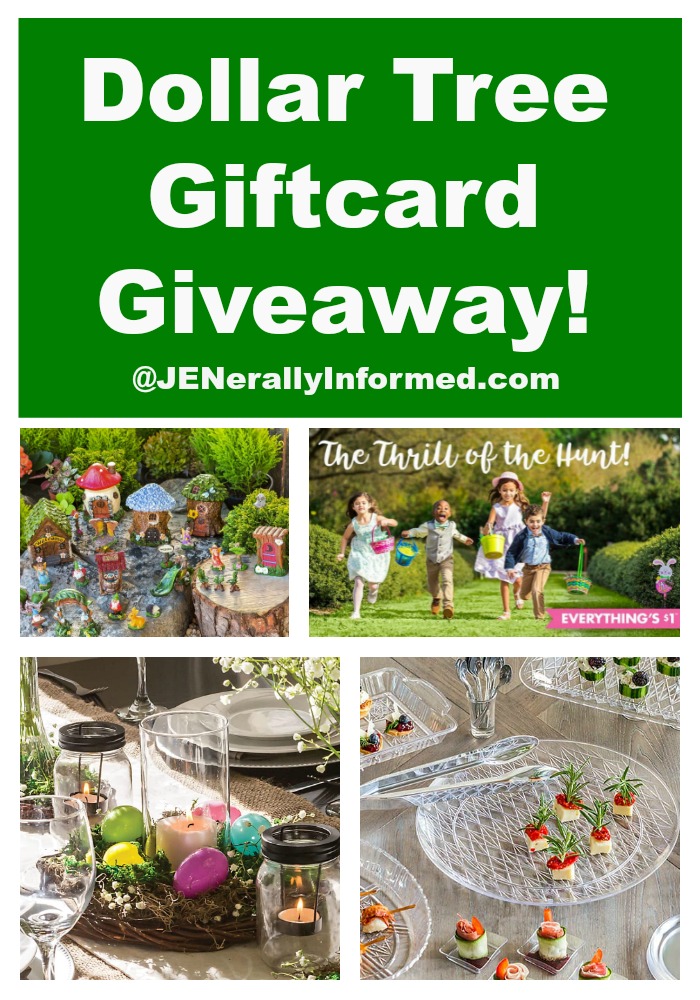 Value seekers get ready! Visit JENerally Informed to enter for your chance to win a Dollar Tree giftcard!