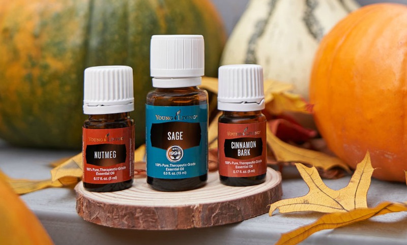 Pull out a blanket and pour yourself a cup of cider as I share my favorite Fall Young Living Essential Oils!