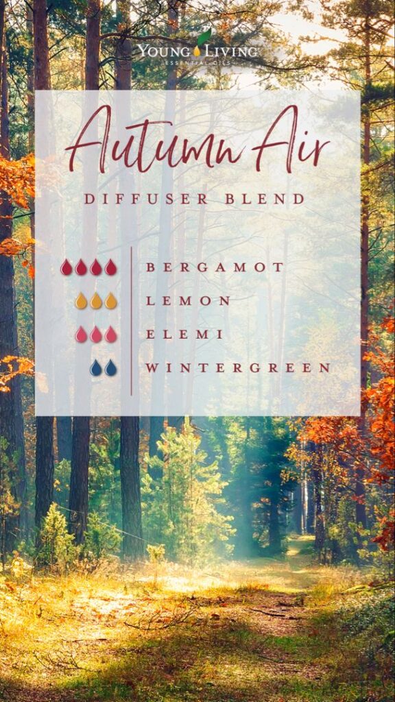 Pull out a blanket and pour yourself a cup of cider as I share my favorite Fall Young Living Essential Oils!