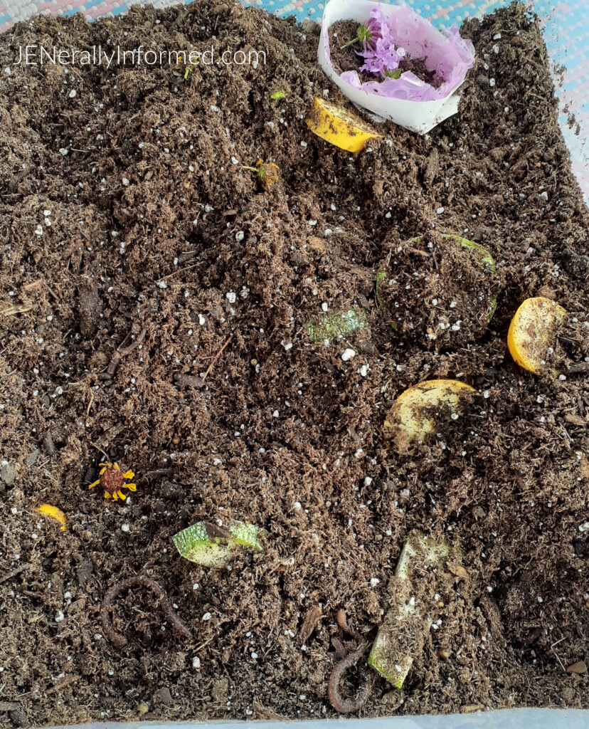 Create your own DIY earthworm habitat and teach your kiddo about environmental responsibility, science, food production, and animal care!