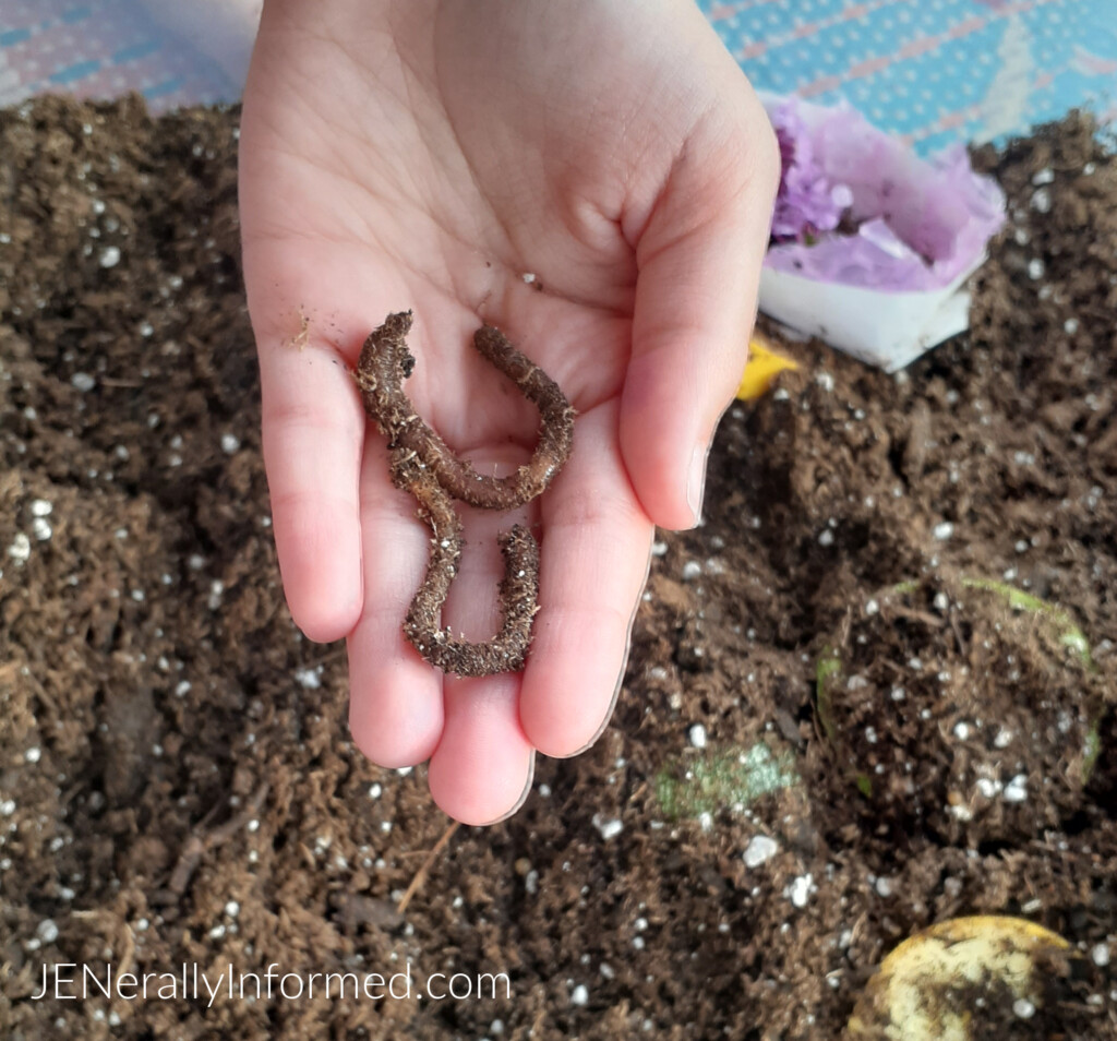 Create your own DIY earthworm habitat and teach your kiddo about environmental responsibility, science, food production, and animal care!