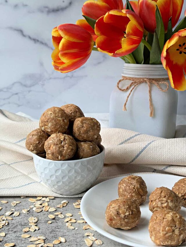 Oatmeal Peanut Butter Balls Recipe with Vanilla Protein by Just the Woods.