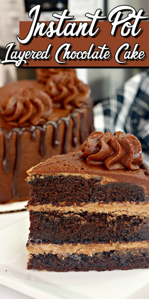 Instant Pot Layered Chocolate Cake by Fat Dad Foodie.