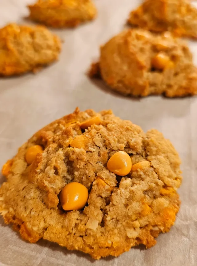 Oatmeal Scotchies by Homemade on a Weeknight.