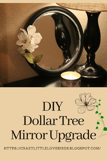 DIY Dollar Tree Mirror Upgrade by Crazy Little LoveBirds.